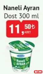 DOST NANELİ AYRAN 300 ML